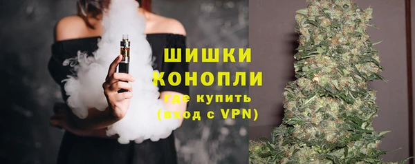 сатива Пересвет