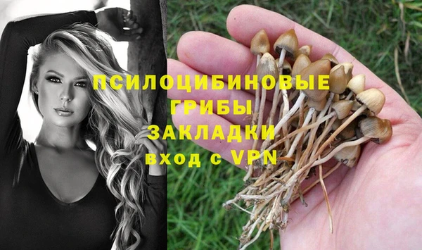 MDMA Premium VHQ Пестово