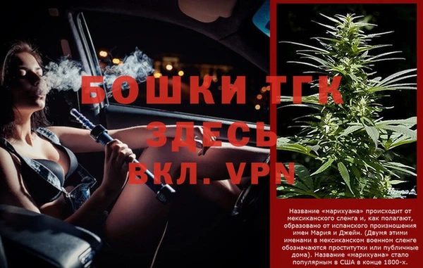 дживик Переславль-Залесский