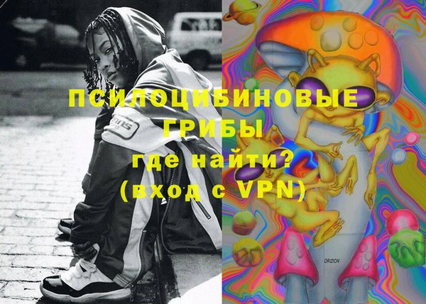 дживик Переславль-Залесский