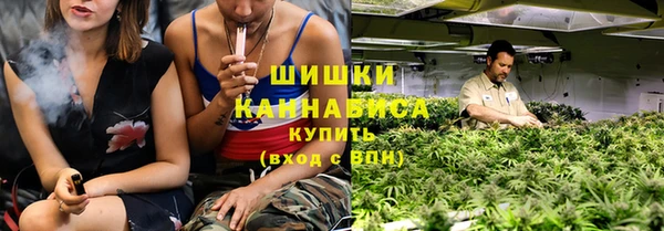 дживик Переславль-Залесский