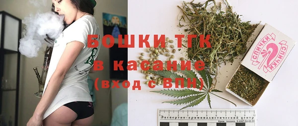 сатива Пересвет