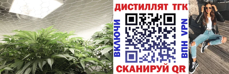 Дистиллят ТГК гашишное масло  кракен зеркало  Тосно  наркошоп 