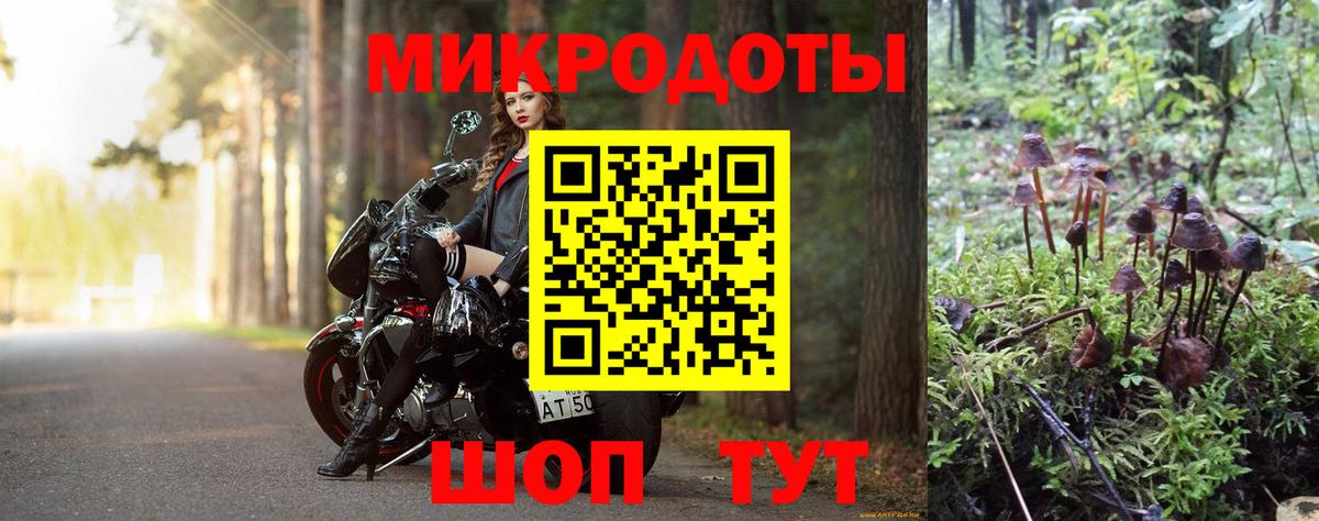 Псилоцибиновые грибы MAGIC MUSHROOMS Тосно