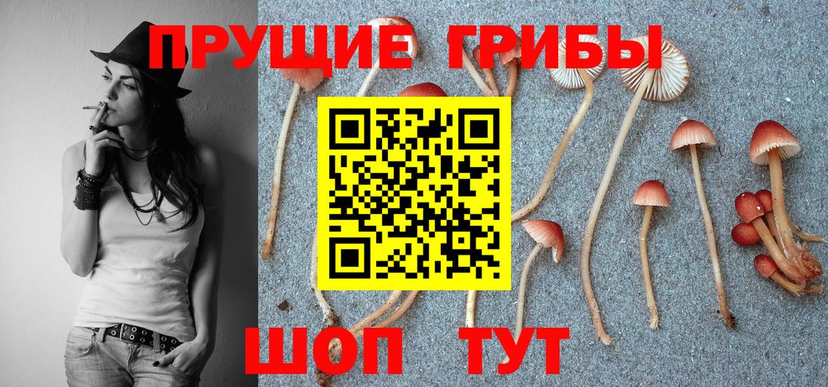 Галлюциногенные грибы мицелий  Вход с VPN  Псилоцибиновые грибы MAGIC MUSHROOMS  Тосно 
