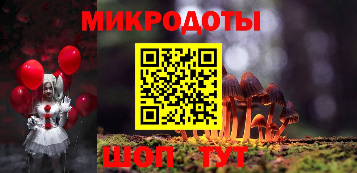 Псилоцибиновые грибы Psilocybe  Псилоцибиновые грибы GOLDEN TEACHER  Тосно 