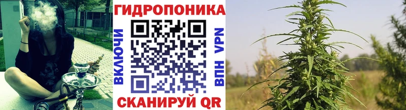 купить наркотики сайты Тосно darknet формула Конопля марихуана