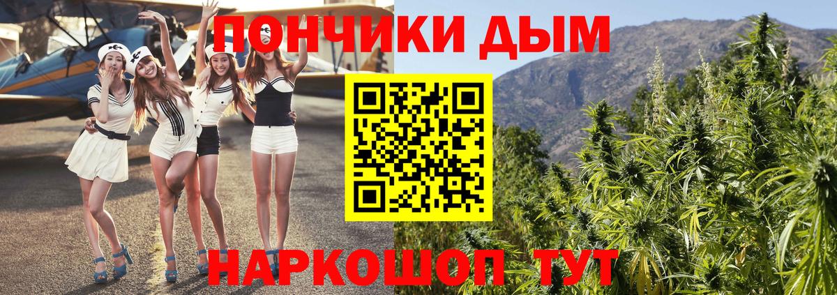 Тосно  МАРИХУАНА Amnesia  Вход с VPN  Бошки марихуана план  Бошки марихуана Ganja 